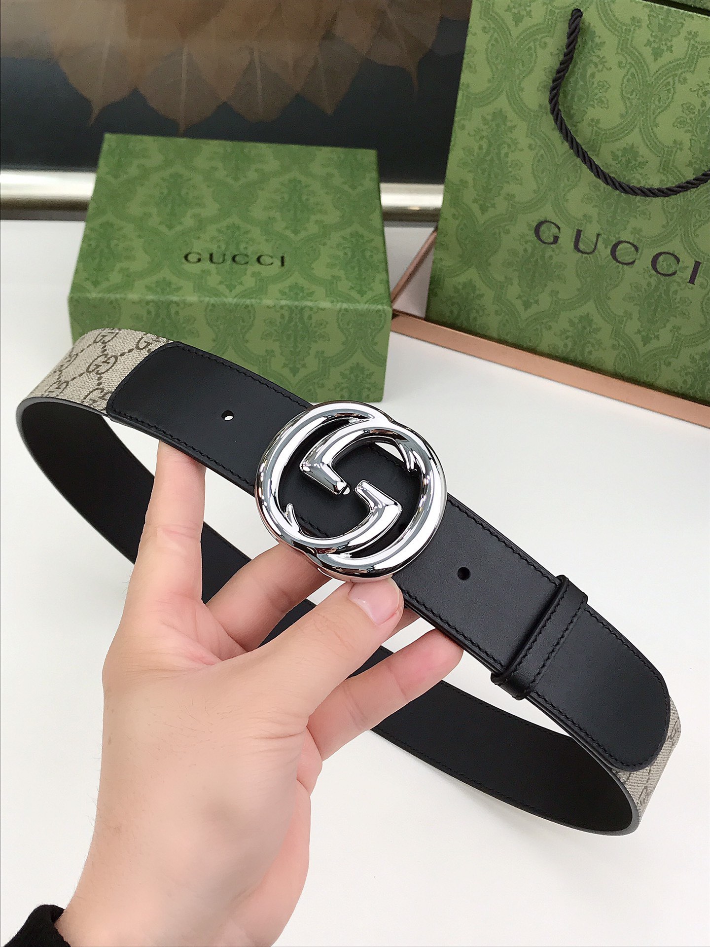 宽度4.0cm米色/乌木色GGSup