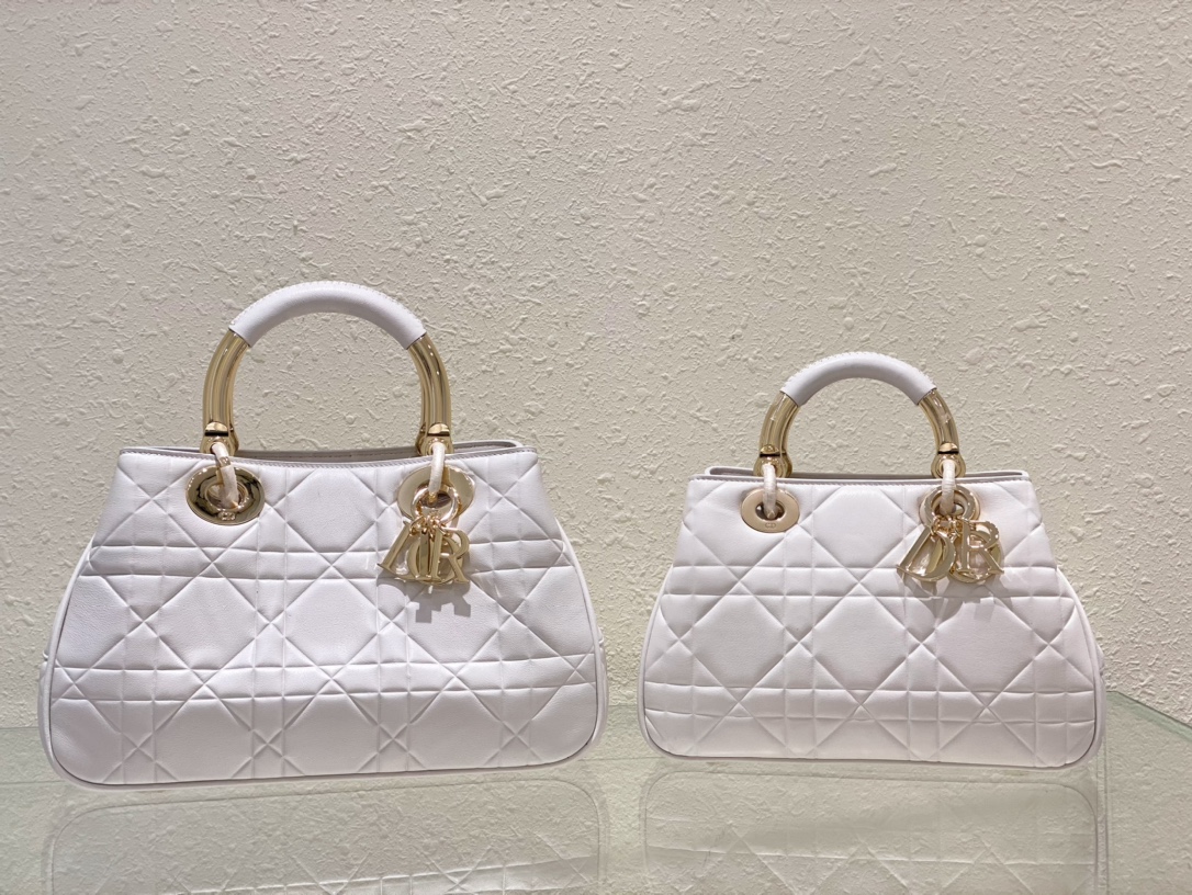 DIOR LADY 95.22 series