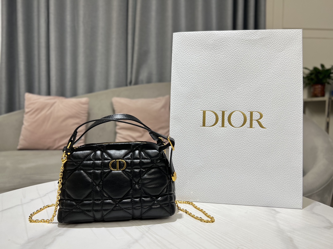 Dior Cosmetic Bags Black Gold Embroidery Cowhide Spring Collection Fashion Chains