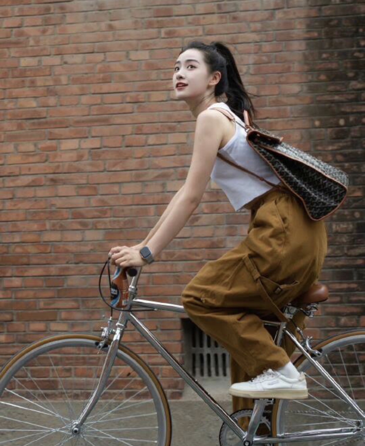 NO:199009,Brown upper body picture, Goya19860909棕色上身图,戈雅,Bag