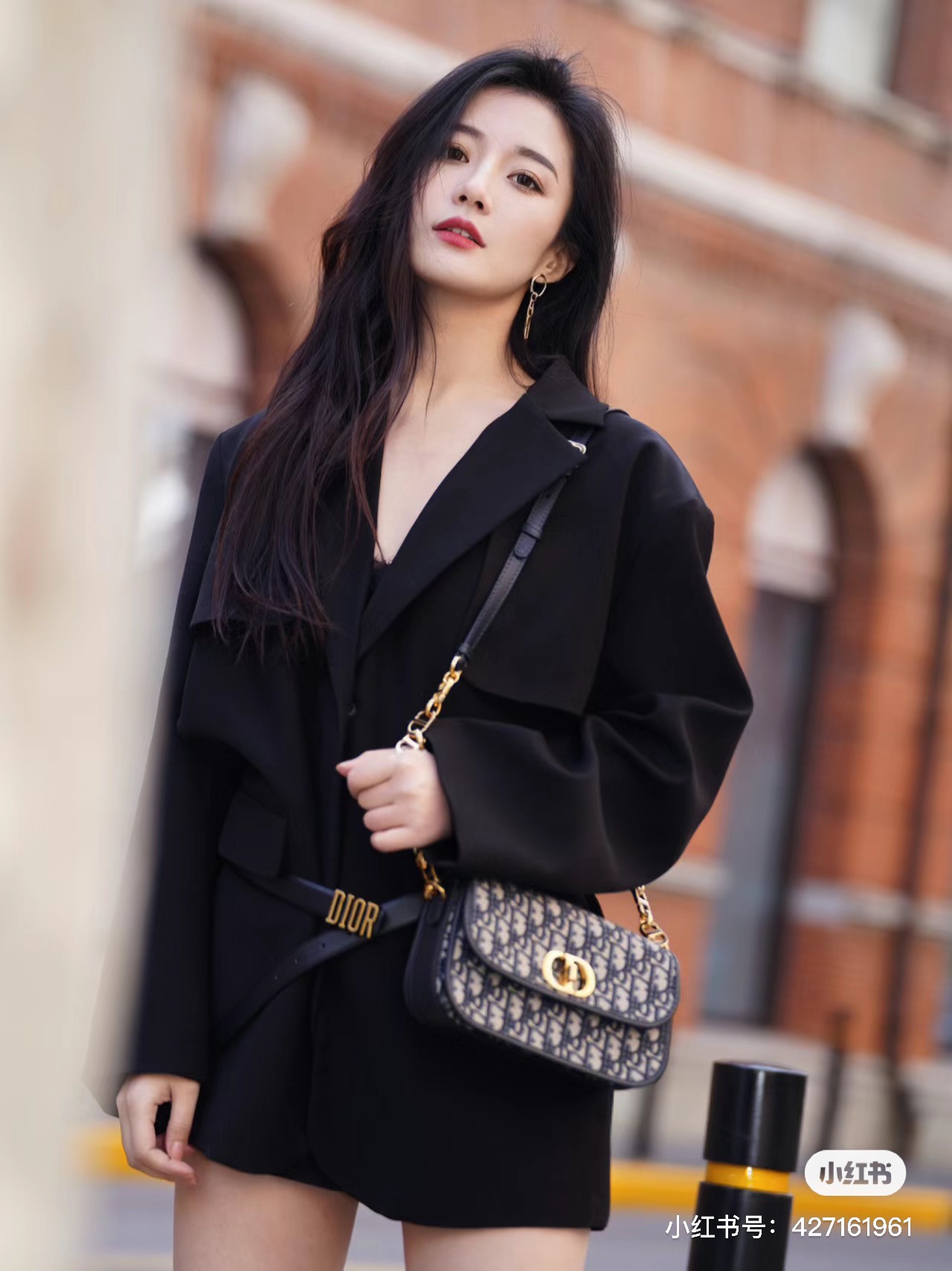 迪奥 Dior 高定典藏经典高奢皮具手袋包袋 #3940BD87 7