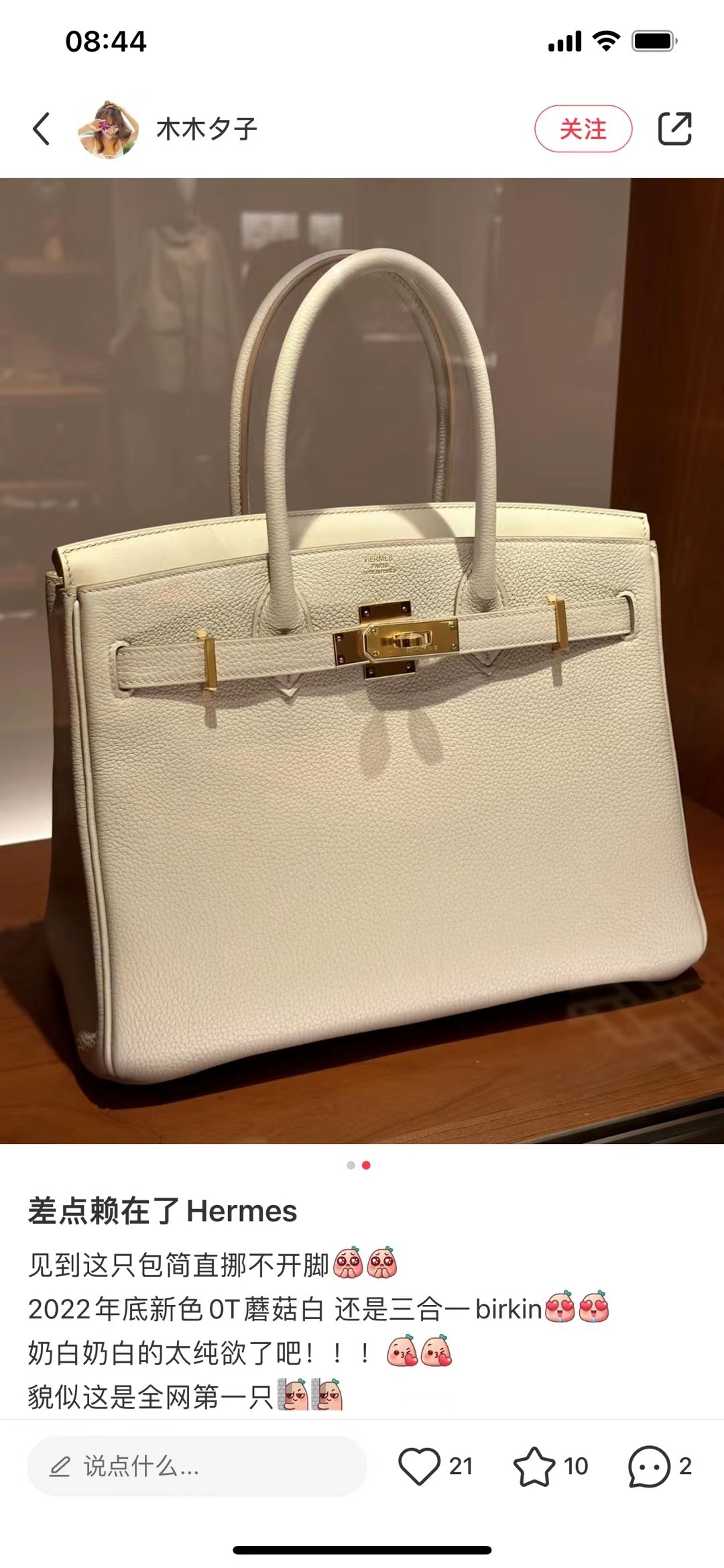 Hermes Birkin Bags Handbags White