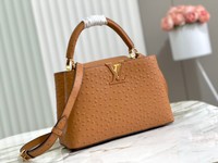 Best Replica Quality
 Louis Vuitton LV Capucines Bags Handbags Brown Fashion M95393
