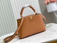 Louis Vuitton LV Capucines Bags Handbags Wholesale Imitation Designer Replicas
 Brown Fashion M95393