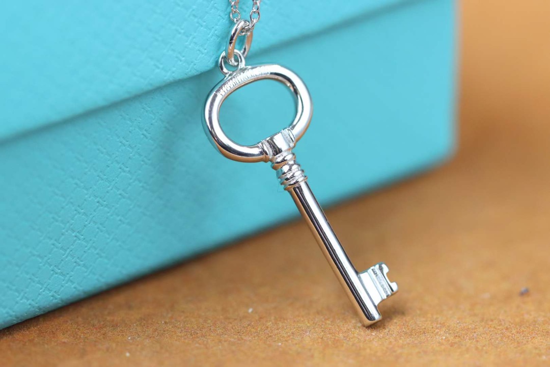 Tiffany & Co. 蒂芙尼Tiffany&Co.小号圆形钥匙项链