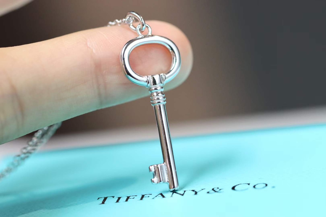 Tiffany & Co. 蒂芙尼Tiffany&Co.小号圆形钥匙项链