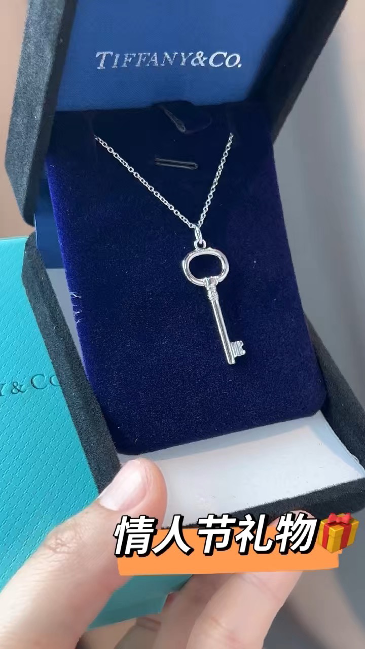Tiffany & Co. 蒂芙尼Tiffany&Co.小号圆形钥匙项链