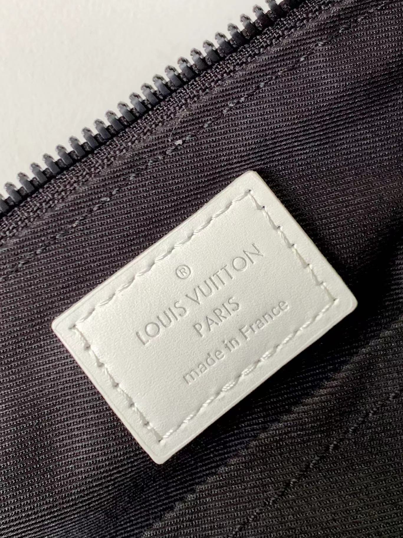 Louis Vuitton Luxury Handbag Collection 9