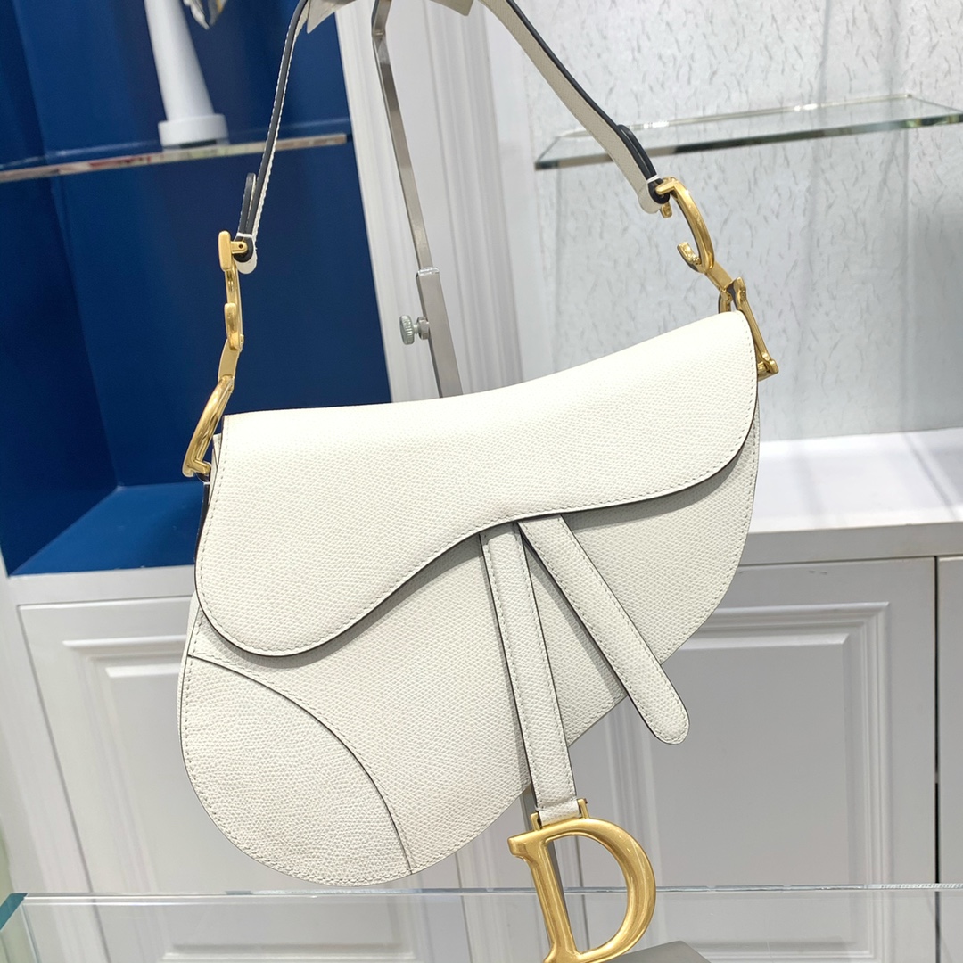 디올 새들 가방 Dior