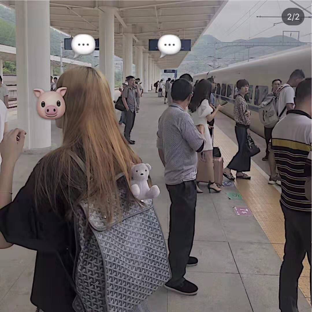 NO:199018,Gray upper body picture, Goya19860909灰色上身图,戈雅,Bag