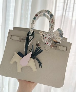 Hermes Birkin Bags Handbags Grey