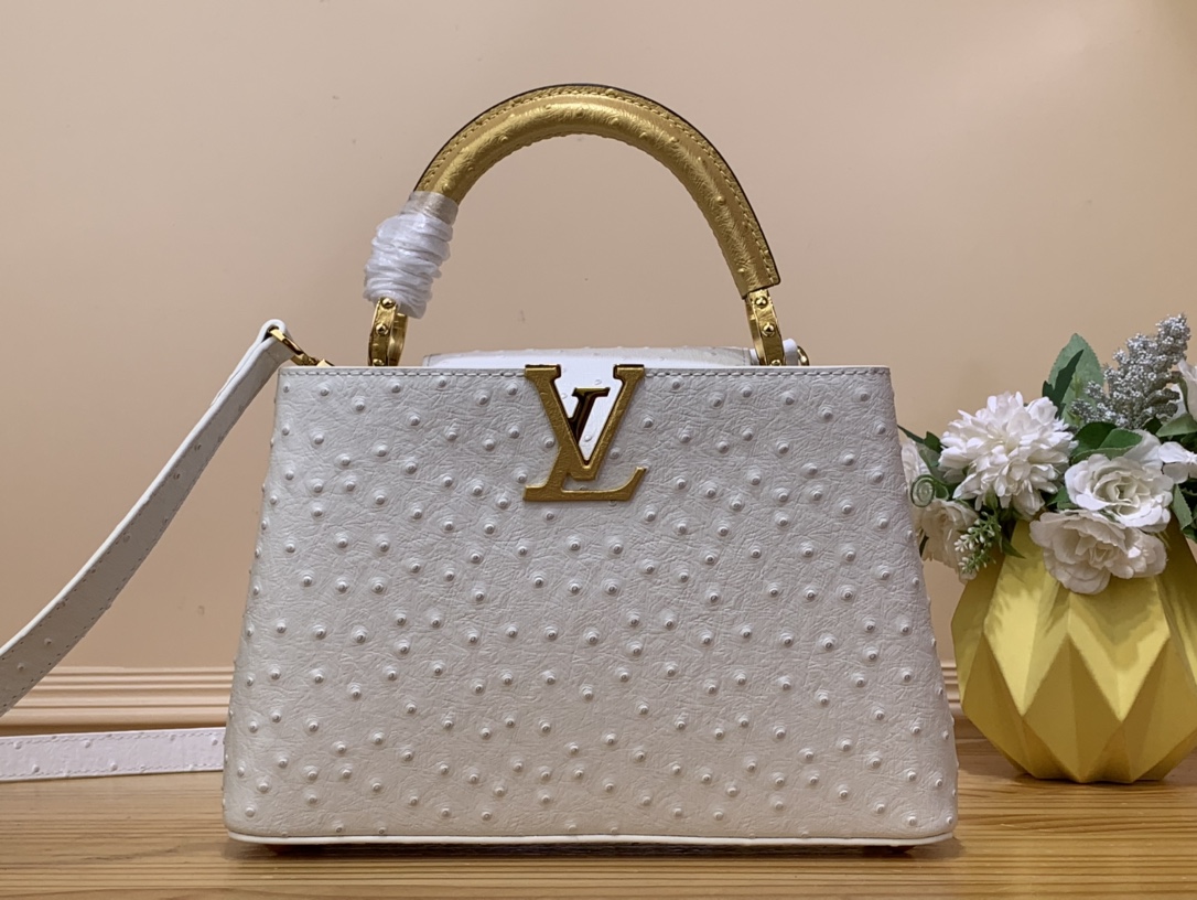 Fashion
 Louis Vuitton LV Capucines Bags Handbags White Cowhide Goat Skin Ostrich Leather Sheepskin N93419