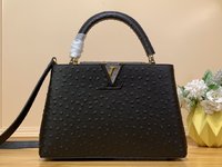 Louis Vuitton LV Capucines Bags Handbags Cowhide Goat Skin Ostrich Leather Sheepskin N93419