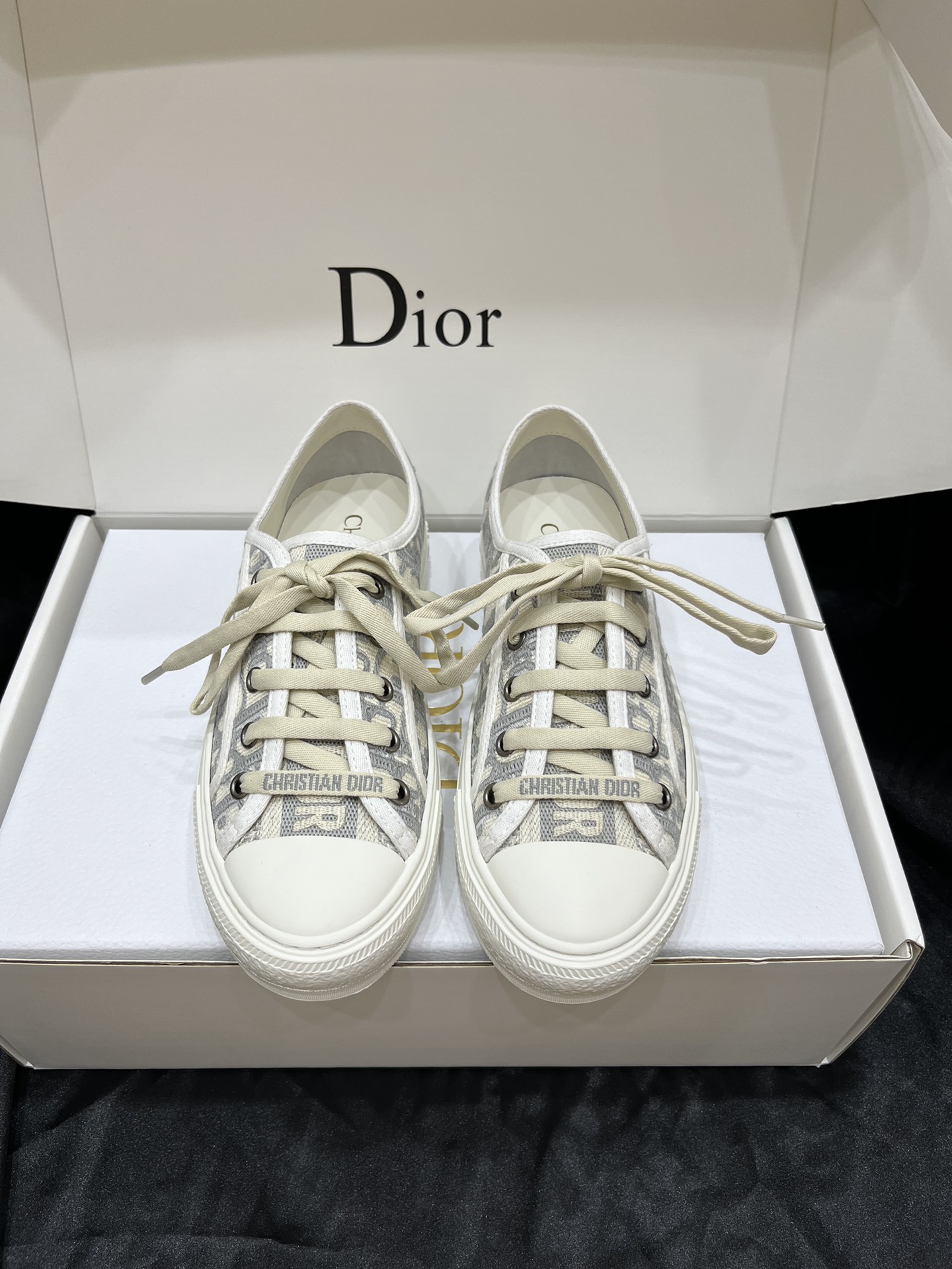 Dior Sapatos de Skate Bordados