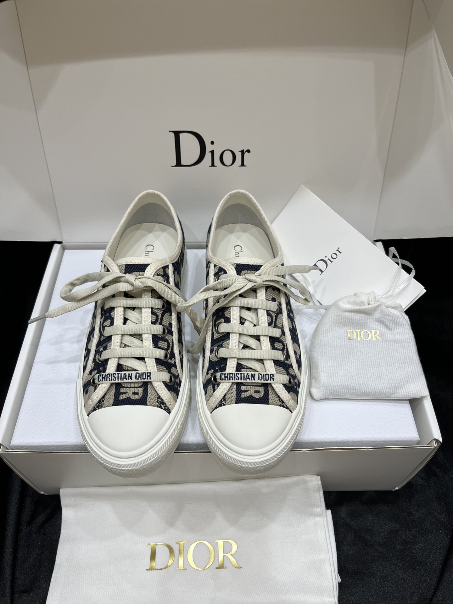 Dior Sapatos de Skate Bordados