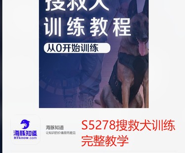 【48[红包]·S5278搜救犬训练完整教学】