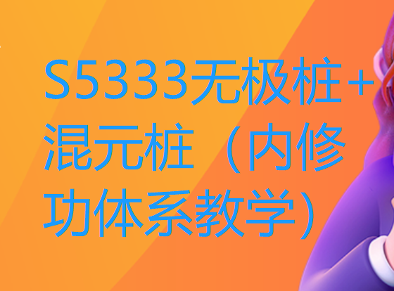 【19[红包]·S5333无极桩+混元桩（内修功体系教学）】
