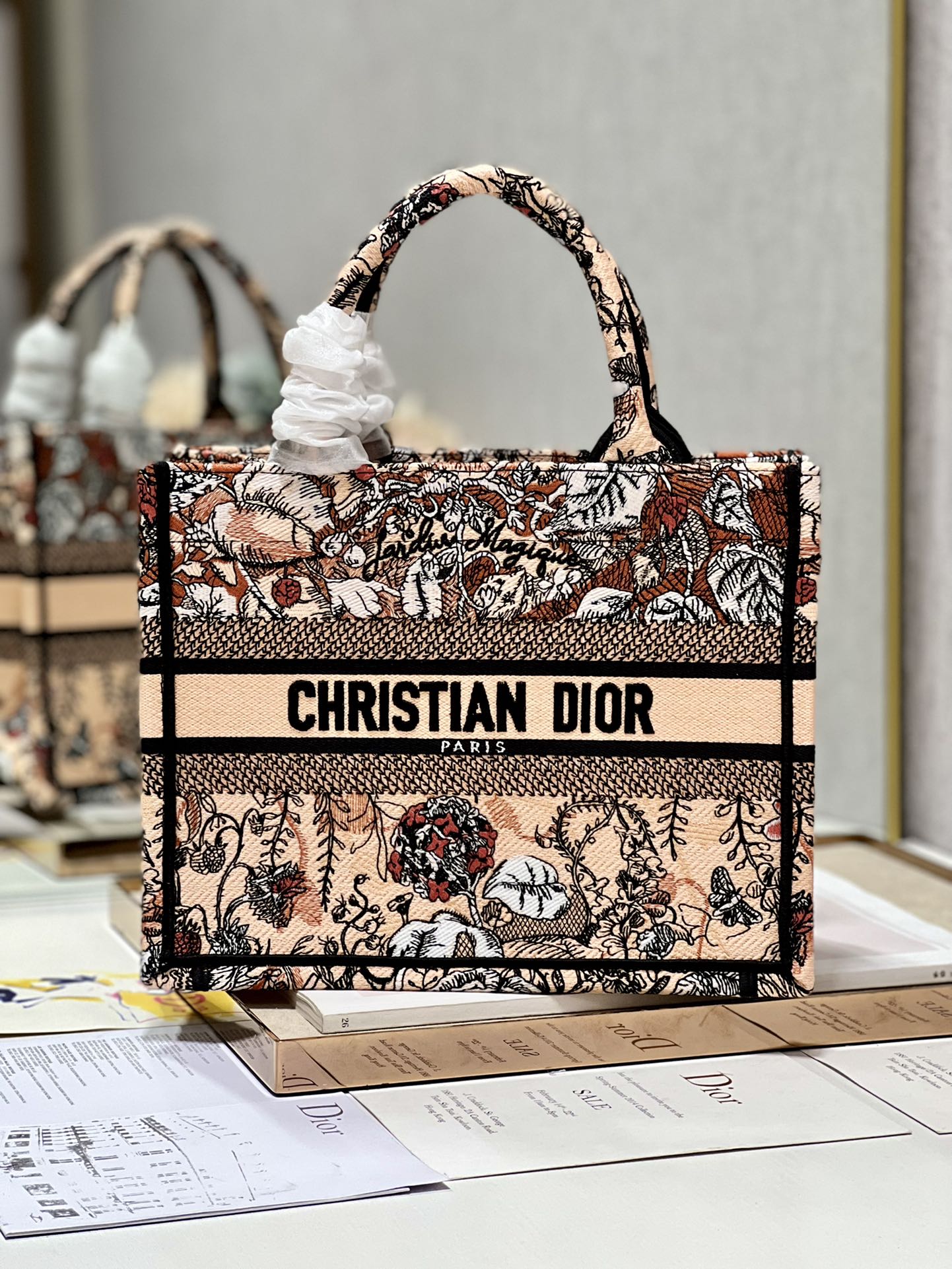 Dior Book Tote Embroidered Handbag