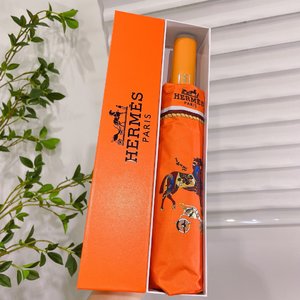 Buy Best High-Quality Hermes Umbrella Purple Summer Collection