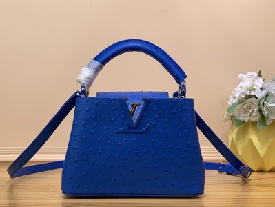 Louis Vuitton LV Capucines Bags Handbags Blue Dark Cowhide Goat Skin Ostrich Leather Sheepskin Mini M94227