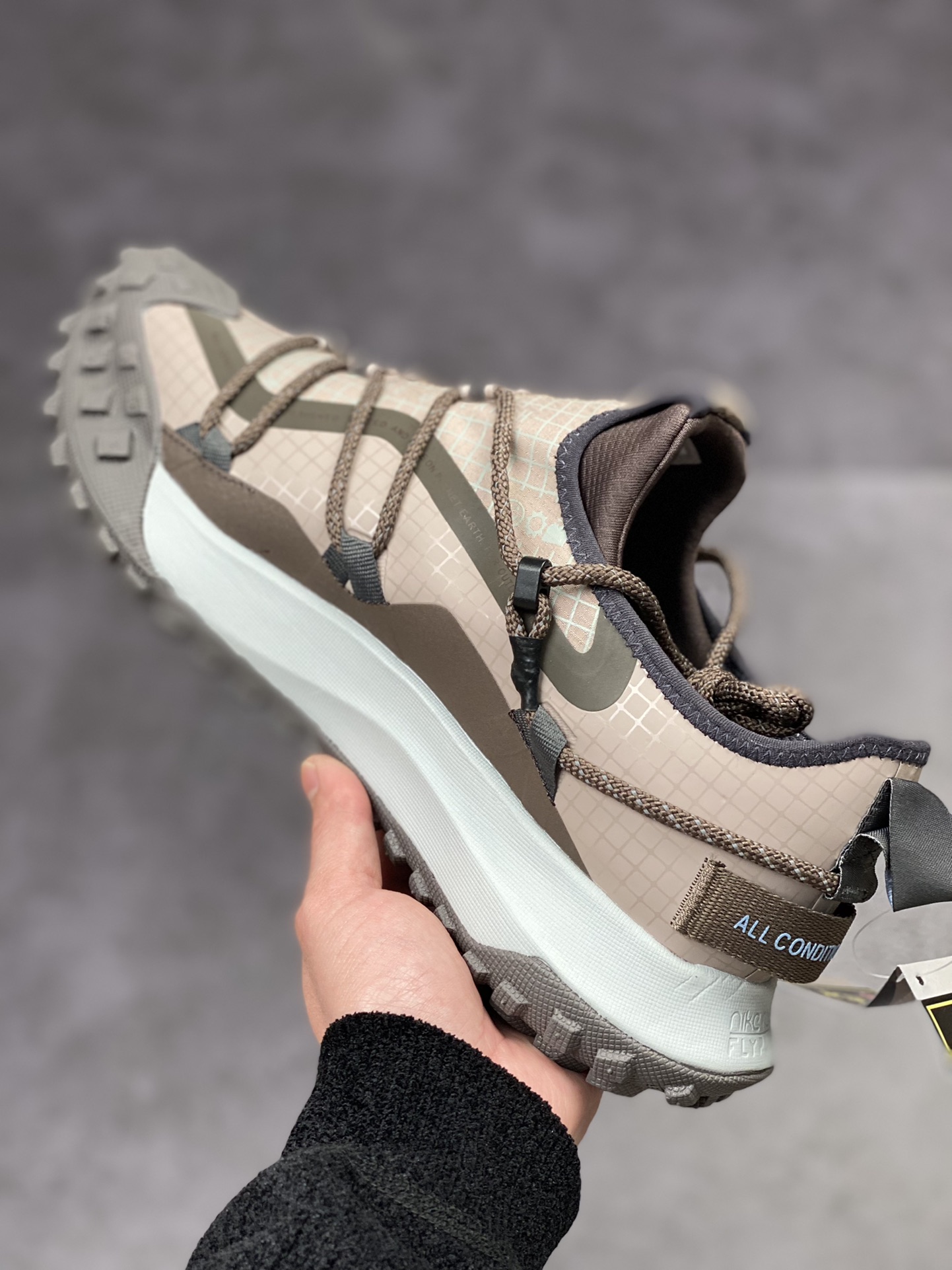 210 NIKE ACG Mountain Fly Low GORE-TEX 户外登山系列 DQ1979-001