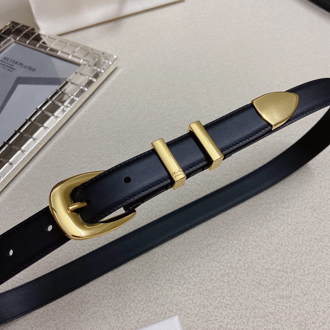 赛琳CELINEWESTERN中号复