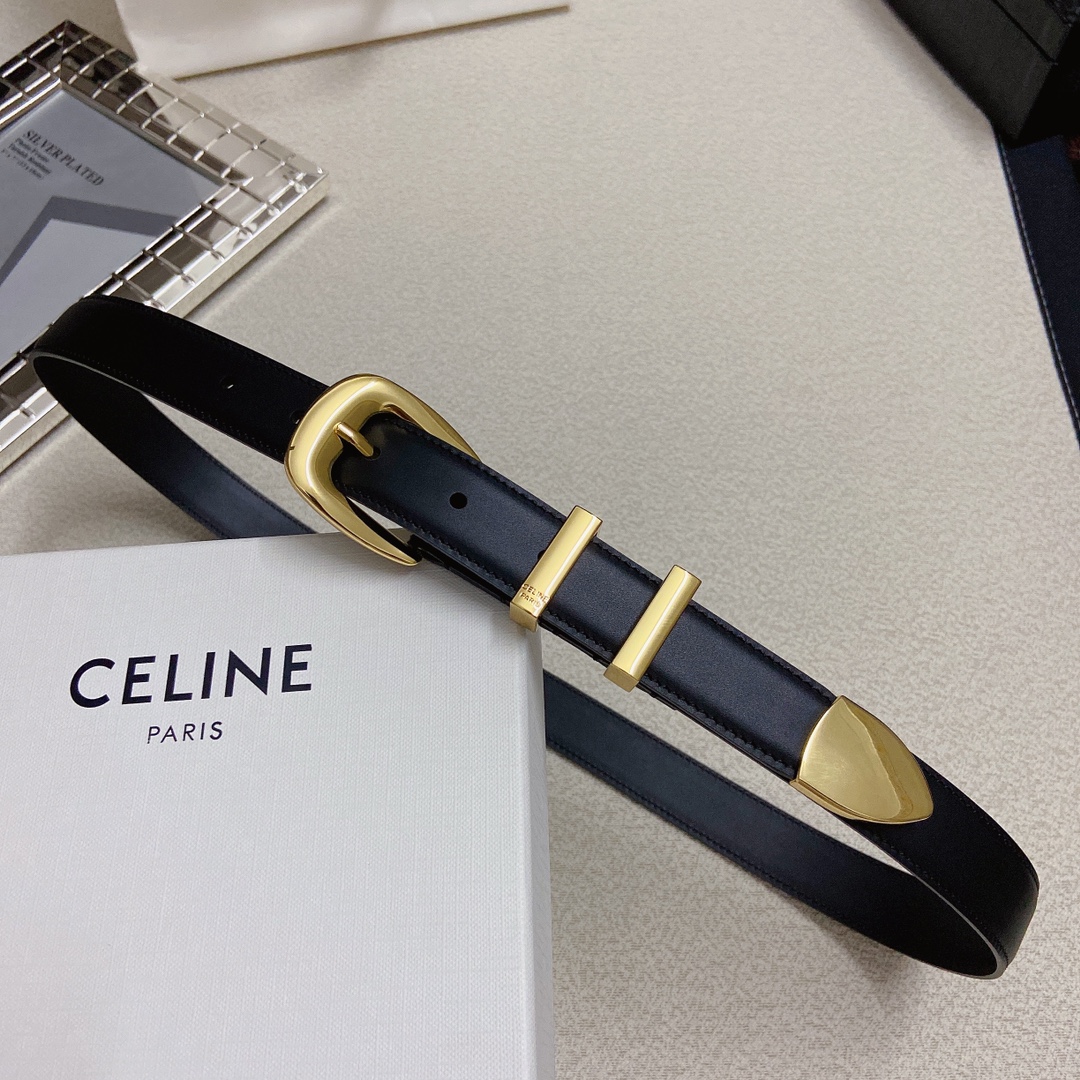 赛琳CELINEWESTERN中号复