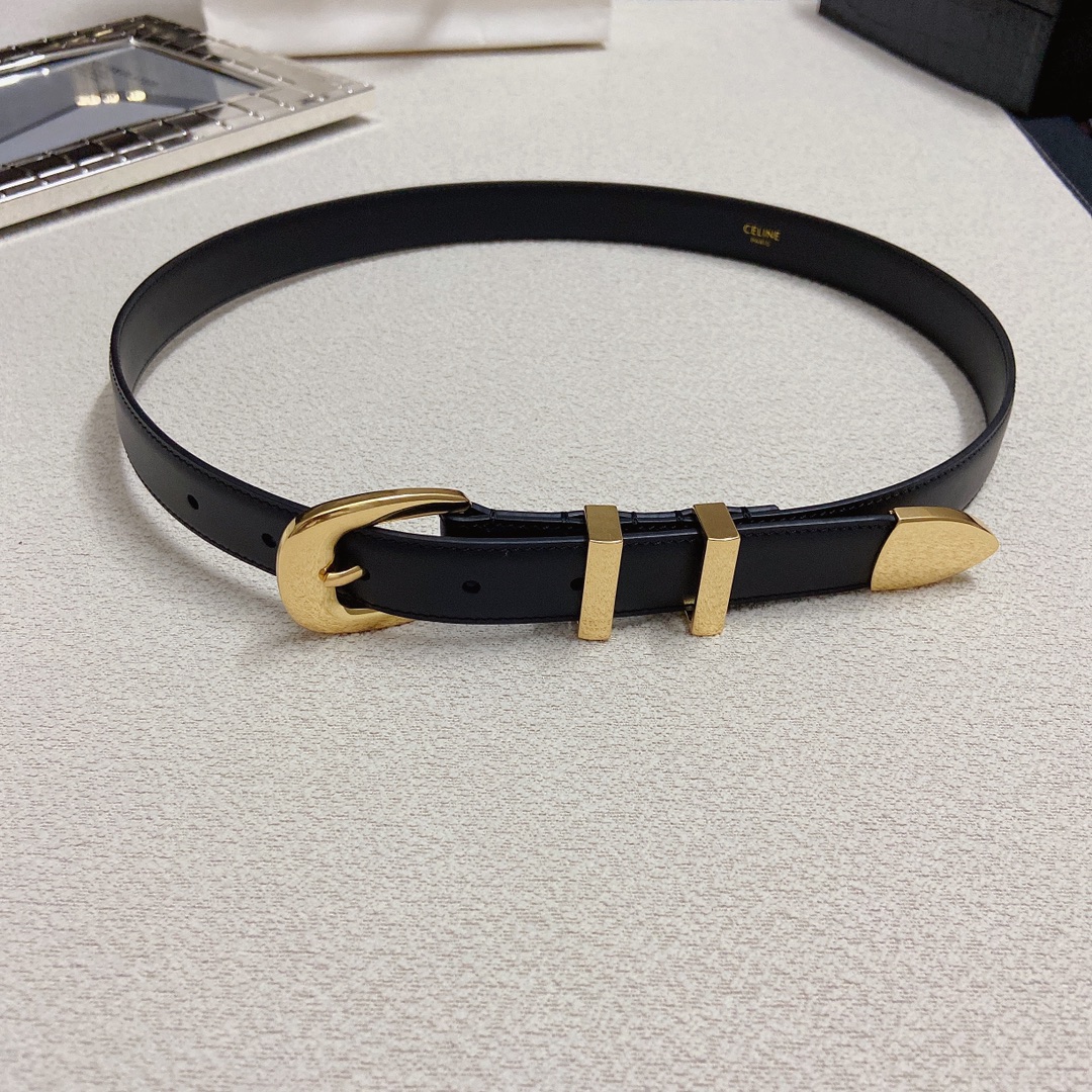 赛琳CELINEWESTERN中号复