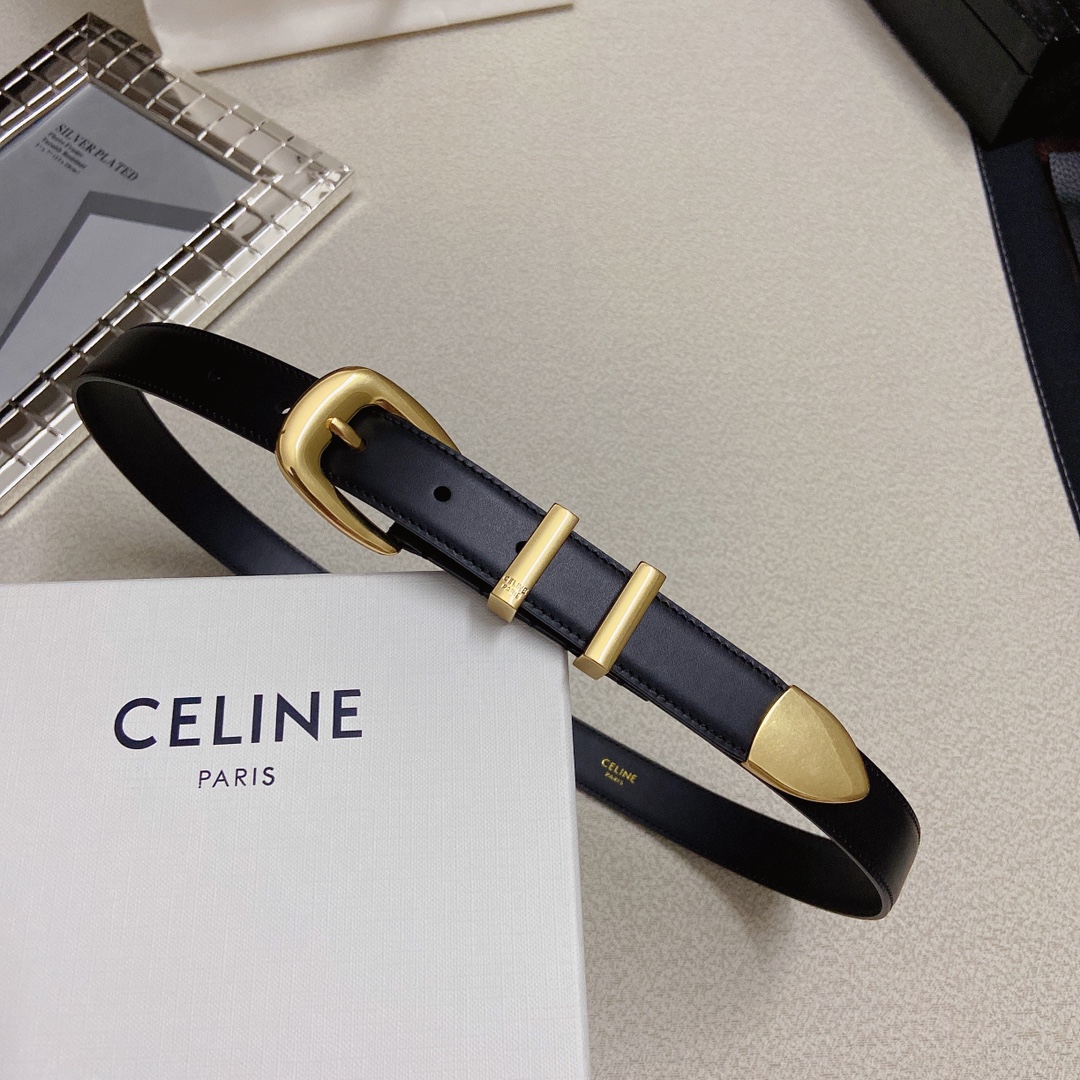赛琳CELINEWESTERN中号复