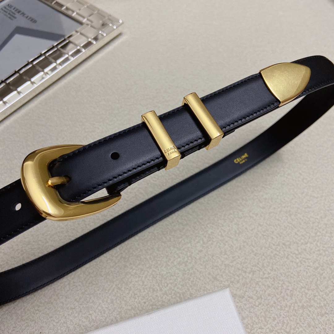赛琳CELINEWESTERN中号复