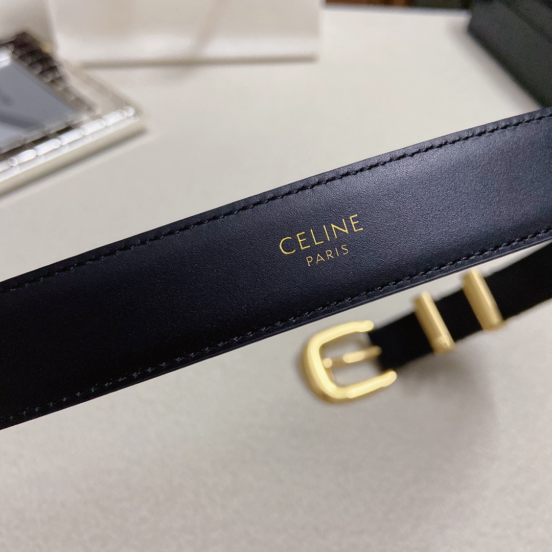 赛琳CELINEWESTERN中号复