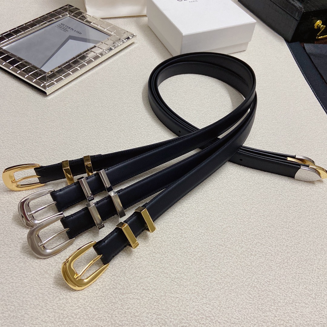 赛琳CELINEWESTERN中号复