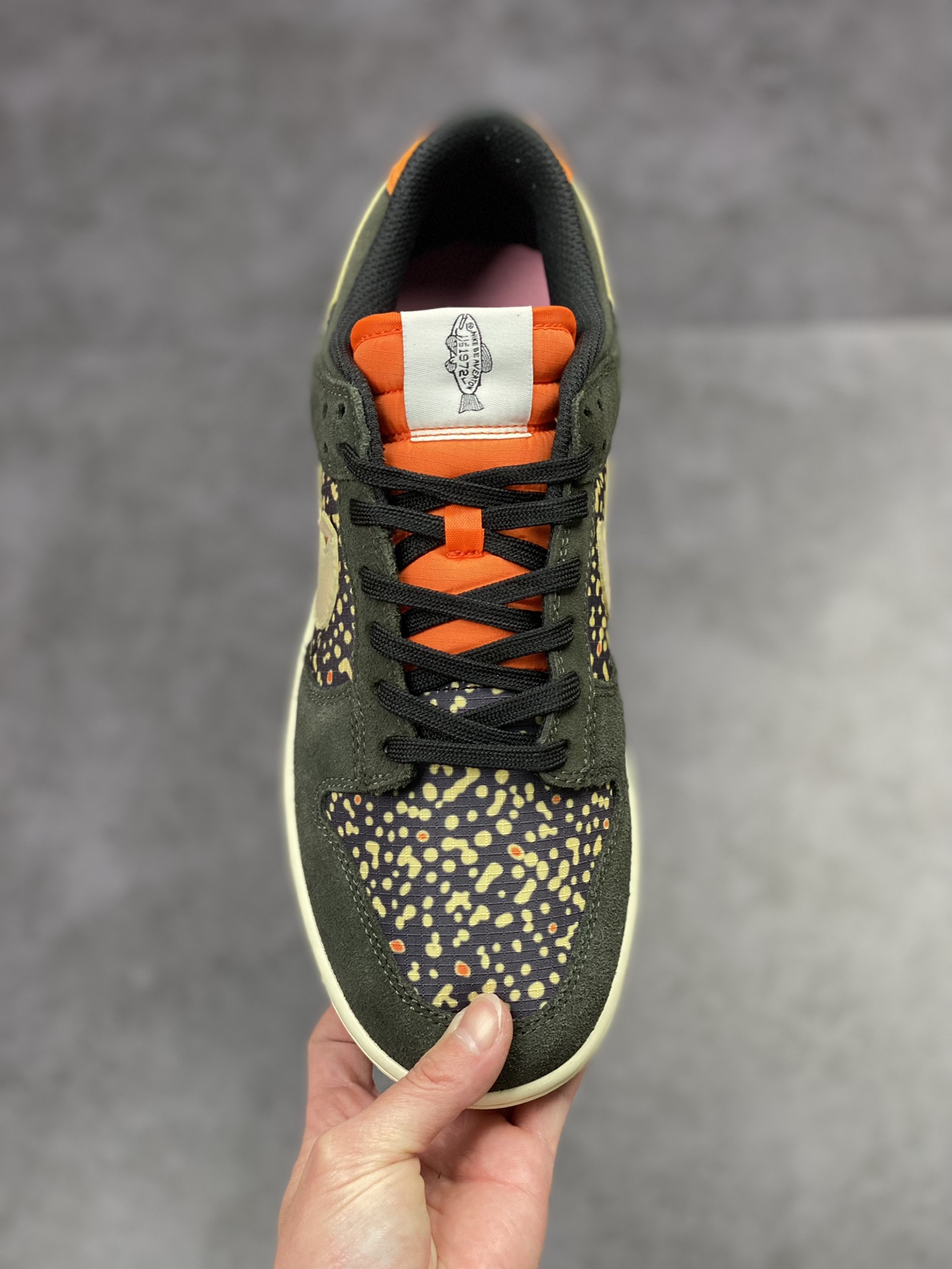 300 Nike SB Dunk Low Rainbow Trout 鳝鱼联名 FH7523-300