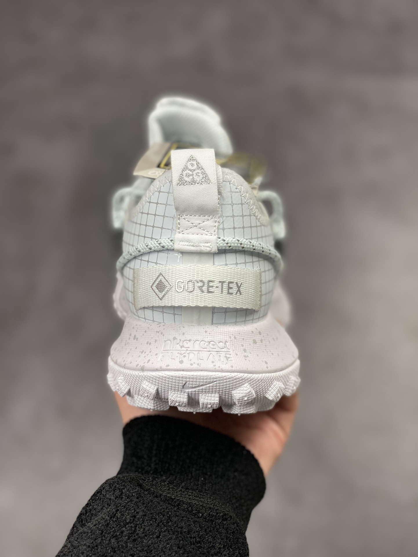 210 NIKE ACG Mountain Fly Low GORE-TEX 户外登山系列 DD2861-011