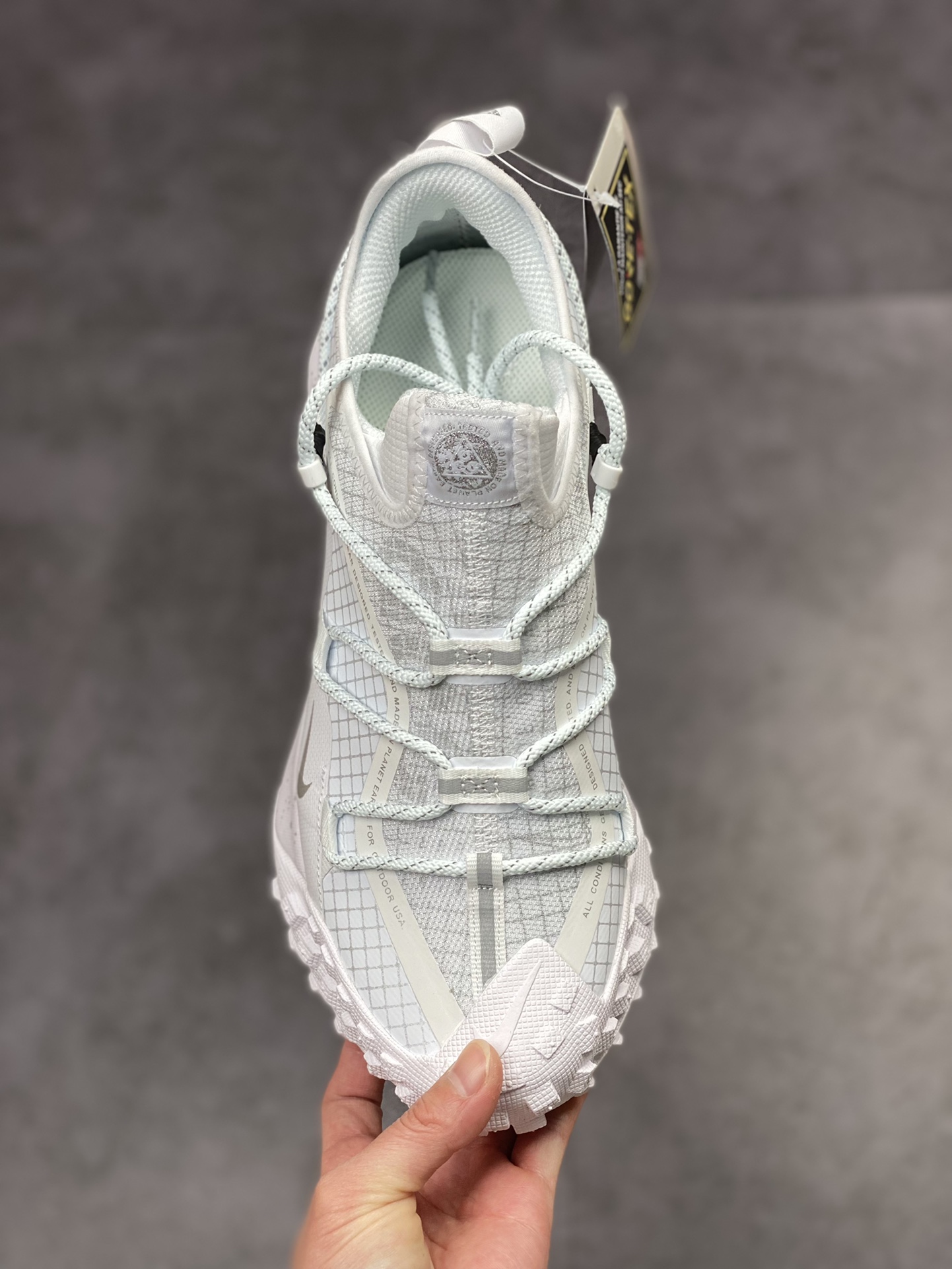 210 NIKE ACG Mountain Fly Low GORE-TEX 户外登山系列 DD2861-011