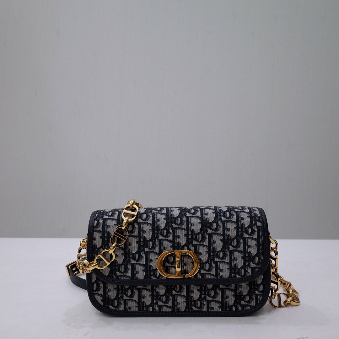 Dior Montaigne Avenue Bags Handbags Blue Gold Printing Oblique Chains