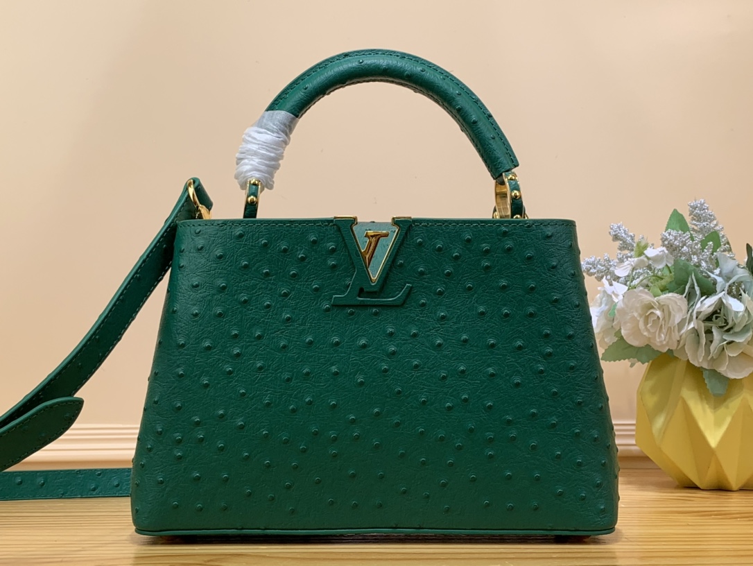 Louis Vuitton LV Capucines Perfect 
 Bags Handbags Replcia Cheap
 Green Cowhide Goat Skin Ostrich Leather Sheepskin N93419