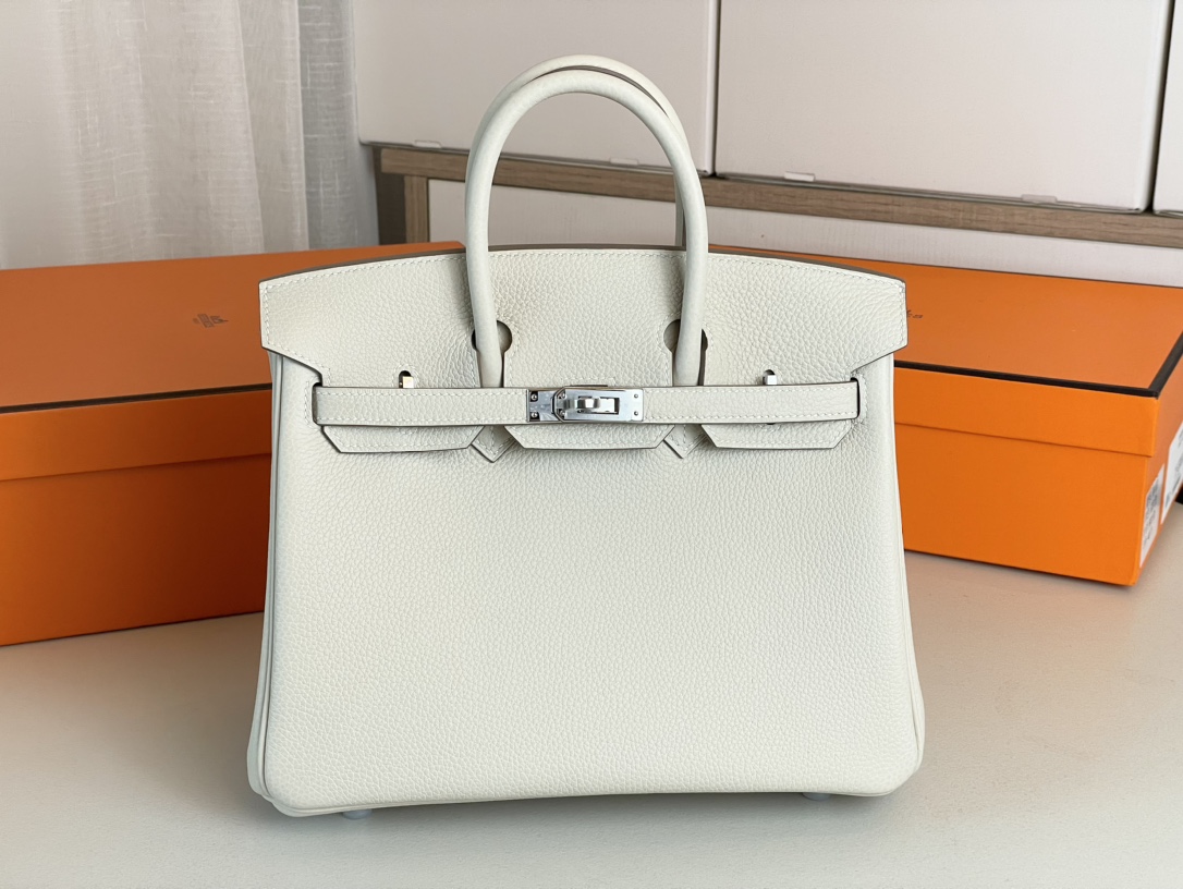 Hermes Birkin Bags Handbags Milkshake White Silver Hardware
