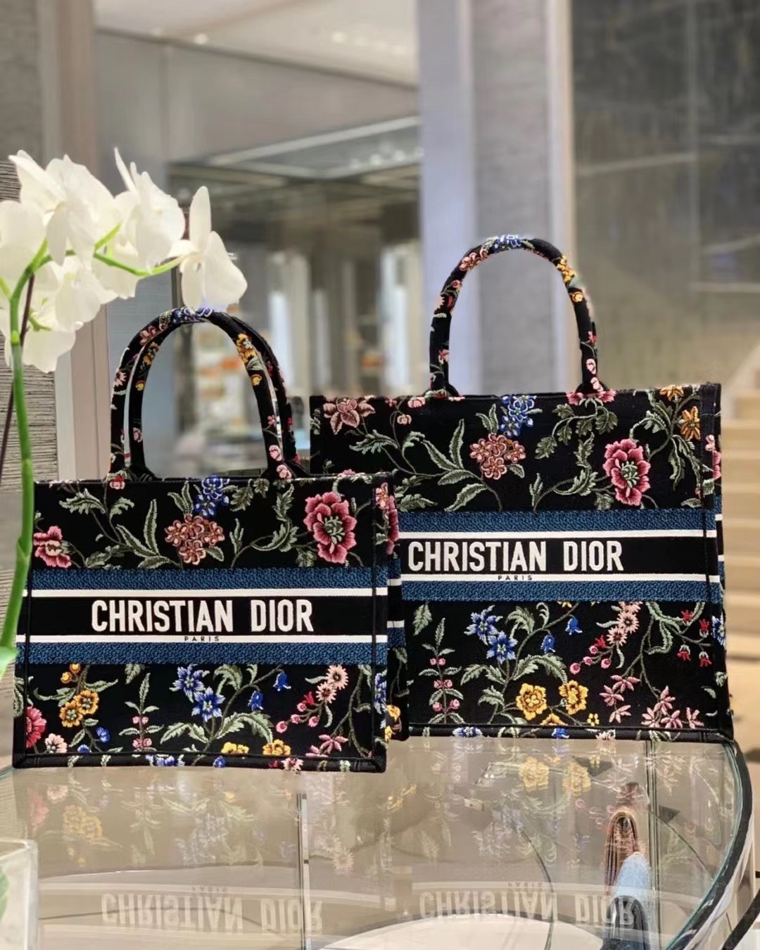[Dior Women