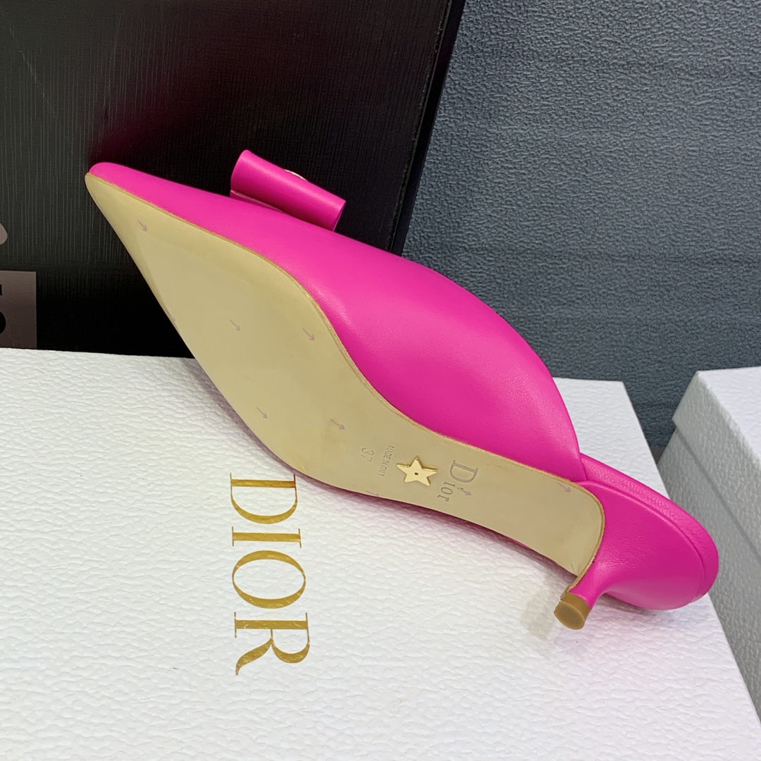 迪奥Dior2023春夏新款果冻色尖