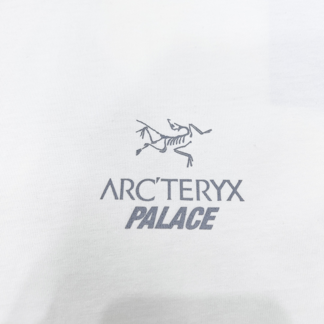 180 Arcteryx × PALACE 始祖鸟 联名印花短袖T恤