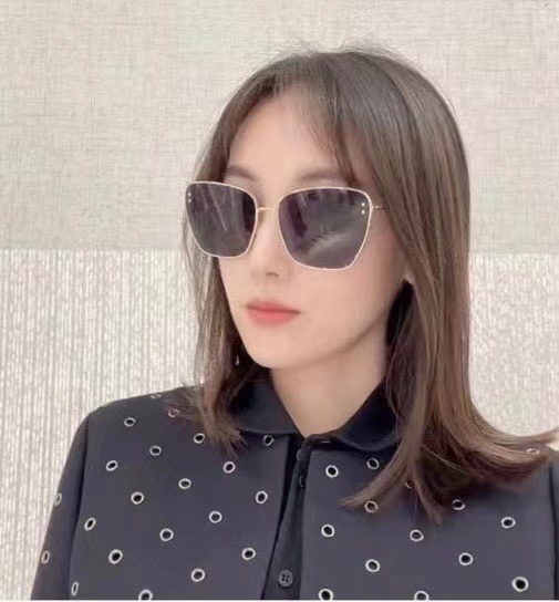 Dior Flawless
 Sunglasses