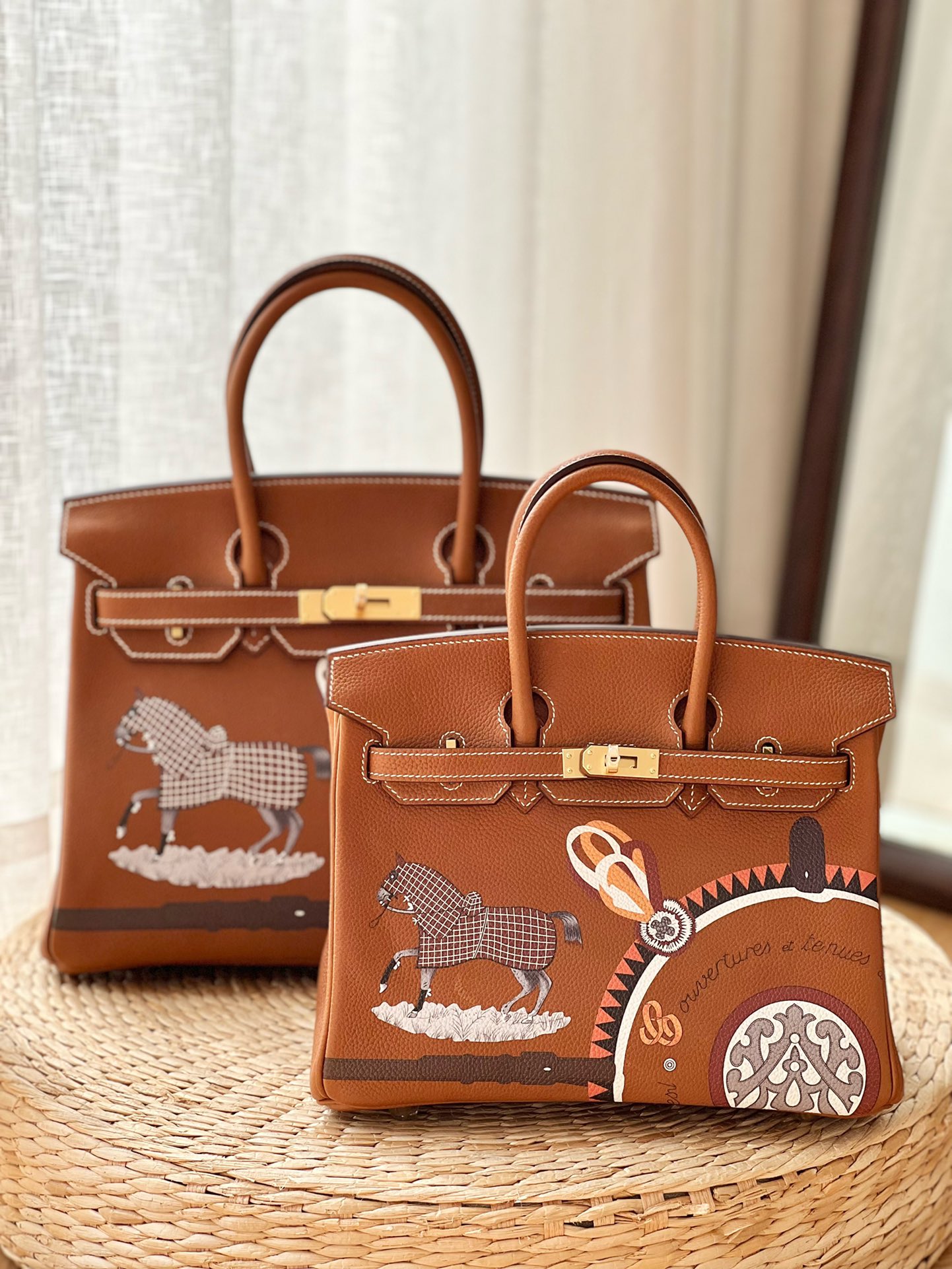 Hermes Birkin Bags Handbags Brown Coffee Color Platinum