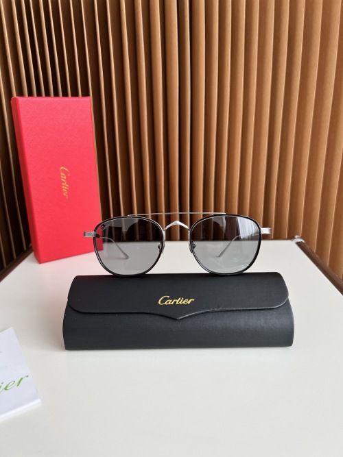 Cartier CT0251S Silver-Gray Aviator Sunglasses - Titanium Frame, UV Protection 1 Cartier CT0251S Silver-Gray Aviator Sunglasses - Titanium Frame, UV Protection