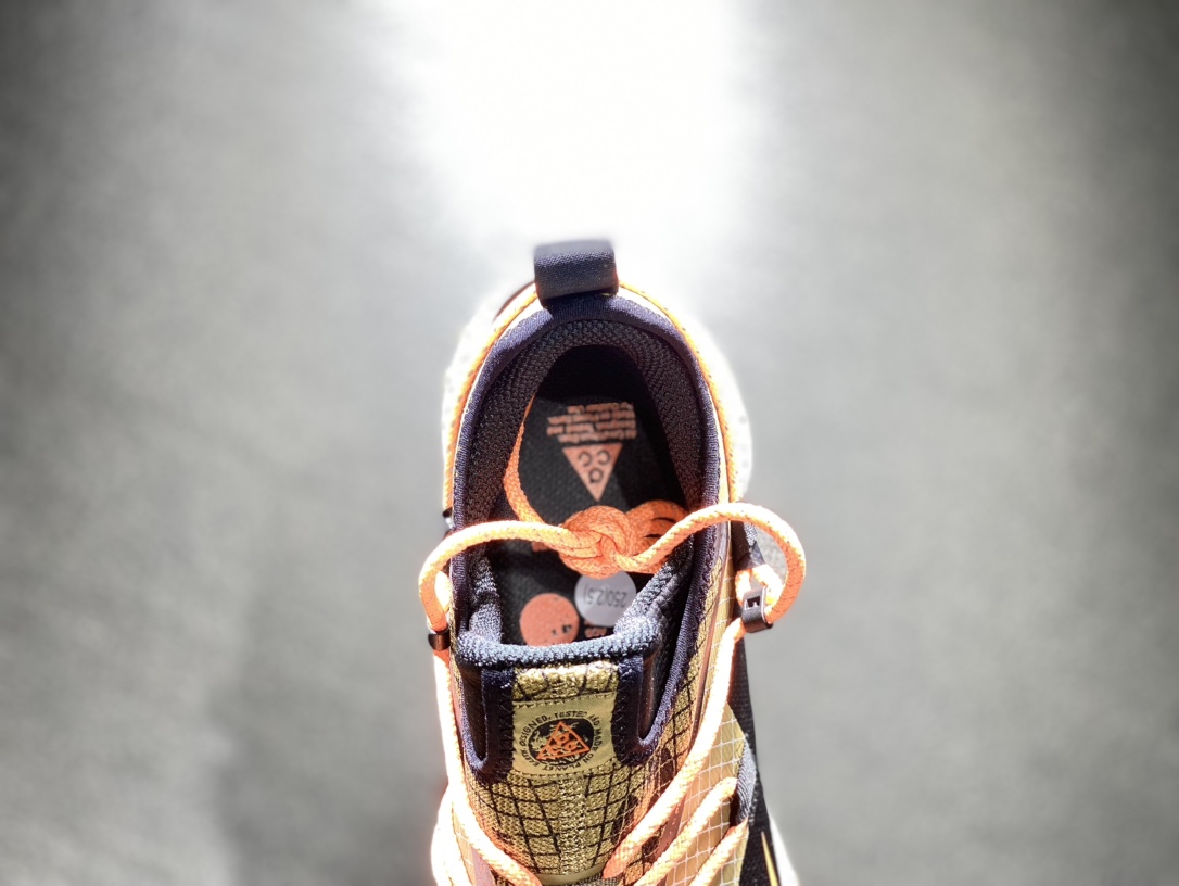 220 Nike ACG Mountain Fly Low GTX SE 户外登山运动鞋DD2861-200