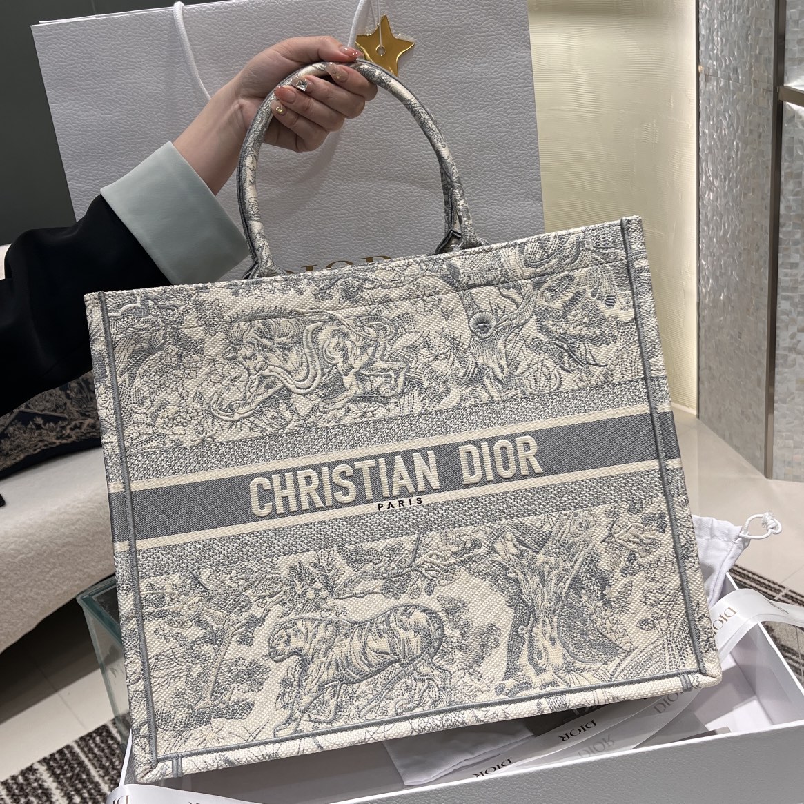 Dior Book Tote Taschen Handtaschen Tragetaschen Grau Stickerei Lässig