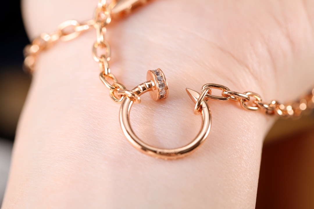 Cartier Cartier卡地亚 气质款钉子项链粗链条款