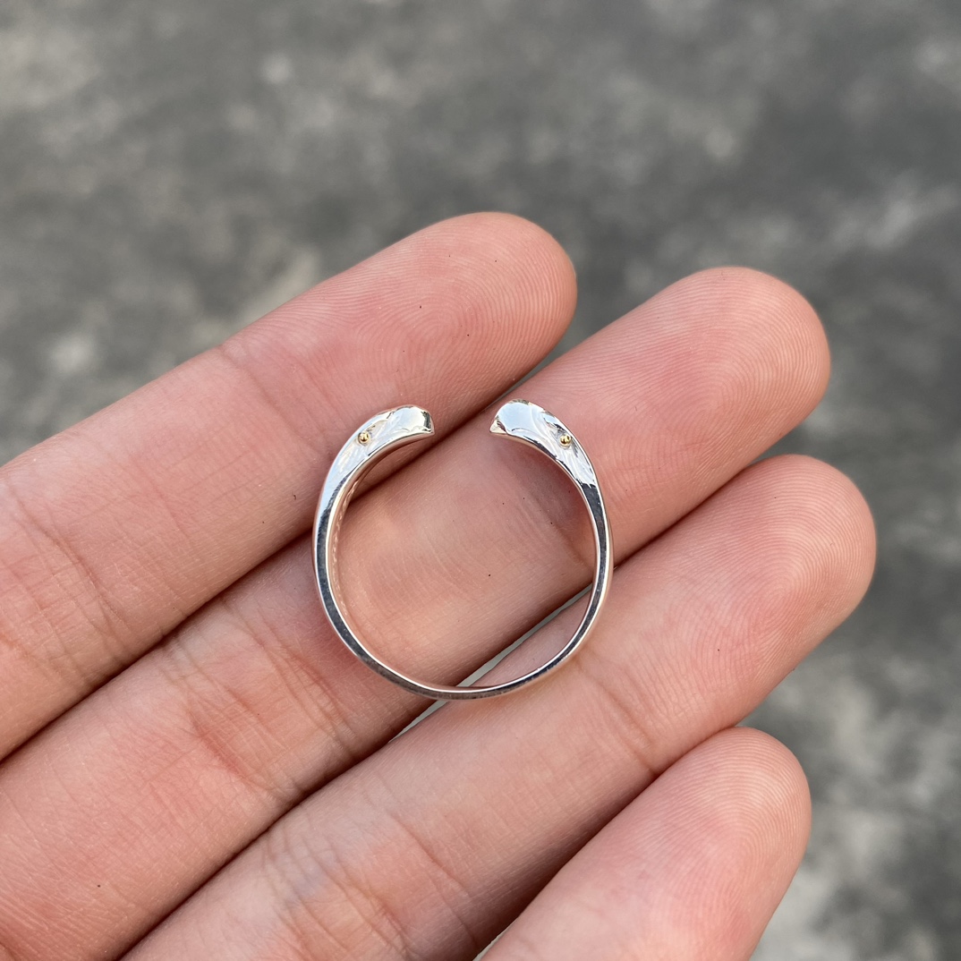 Takahashi Ring