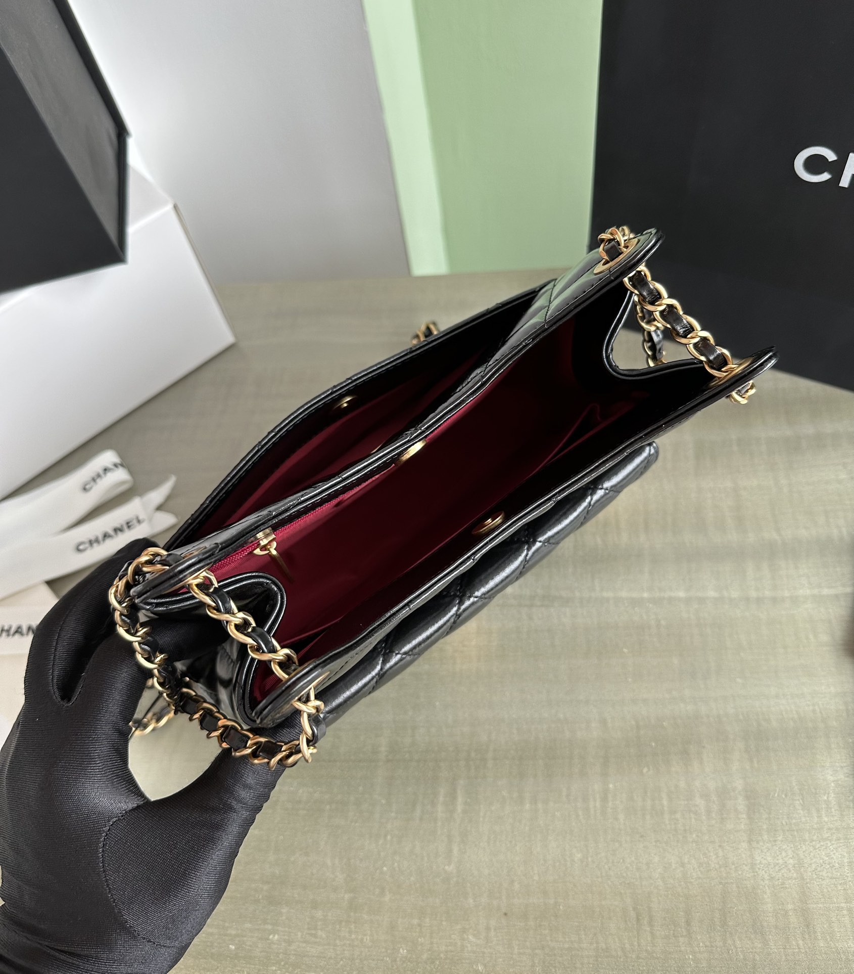 Chanel Luxury Handbag Collection 8