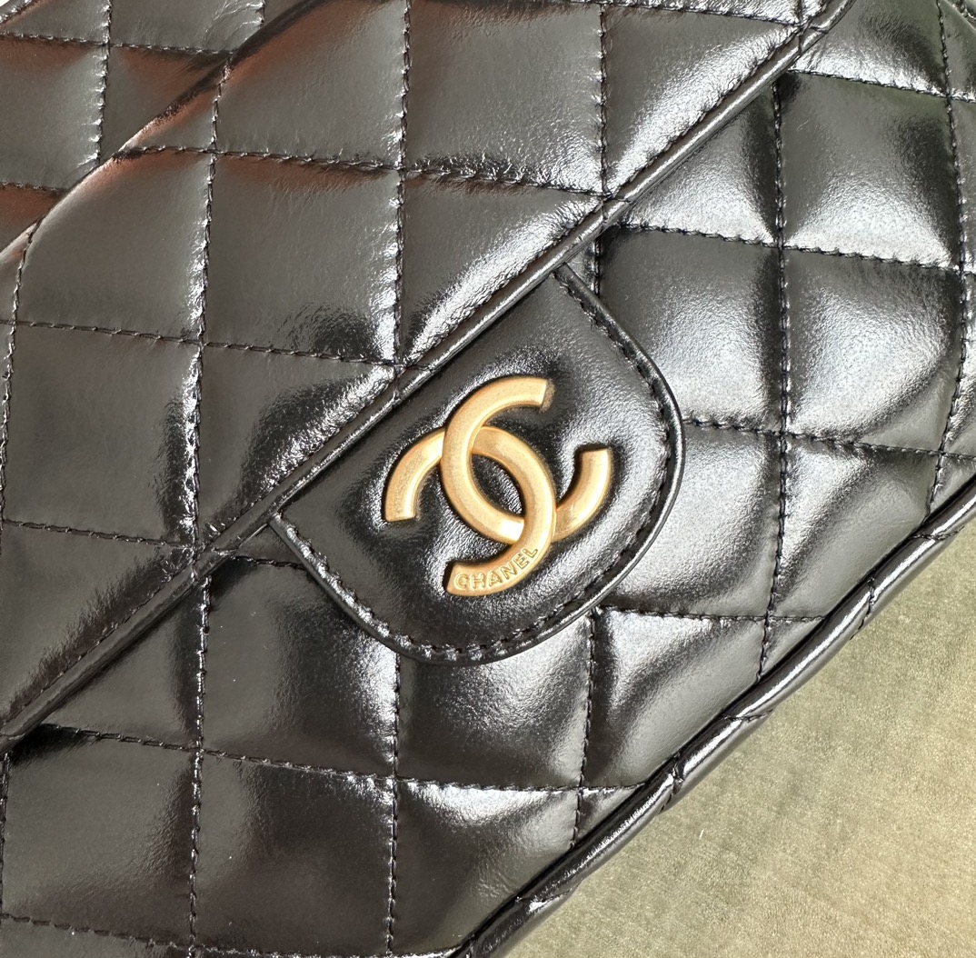 Chanel Luxury Handbag Collection 7